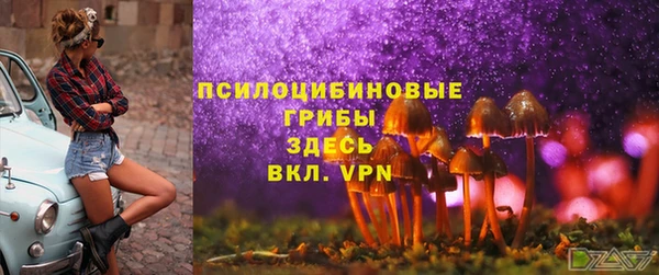 мескалин Белокуриха