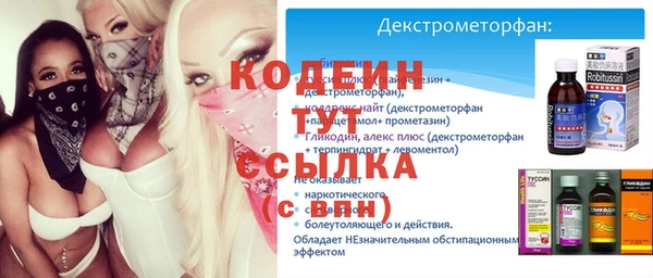 хмурый Бородино