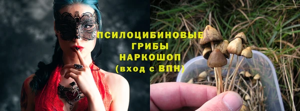 spice Богородск