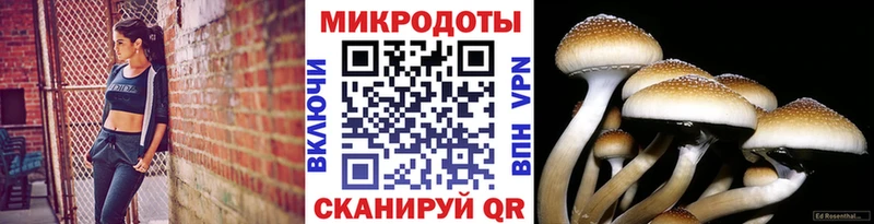 Галлюциногенные грибы Cubensis  mega рабочий сайт  Балахна  хочу наркоту 